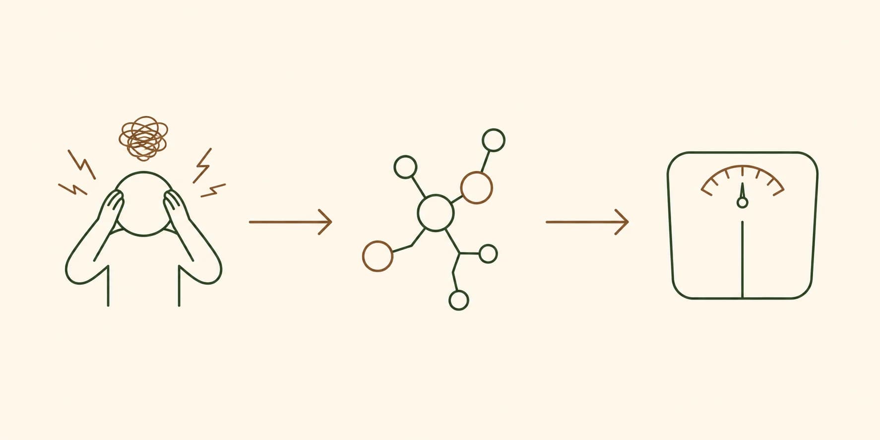 Einfache Flussillustration, die den indirekten Weg von Stress über Cortisol zu möglichen Gewichtseffekten zeigt
