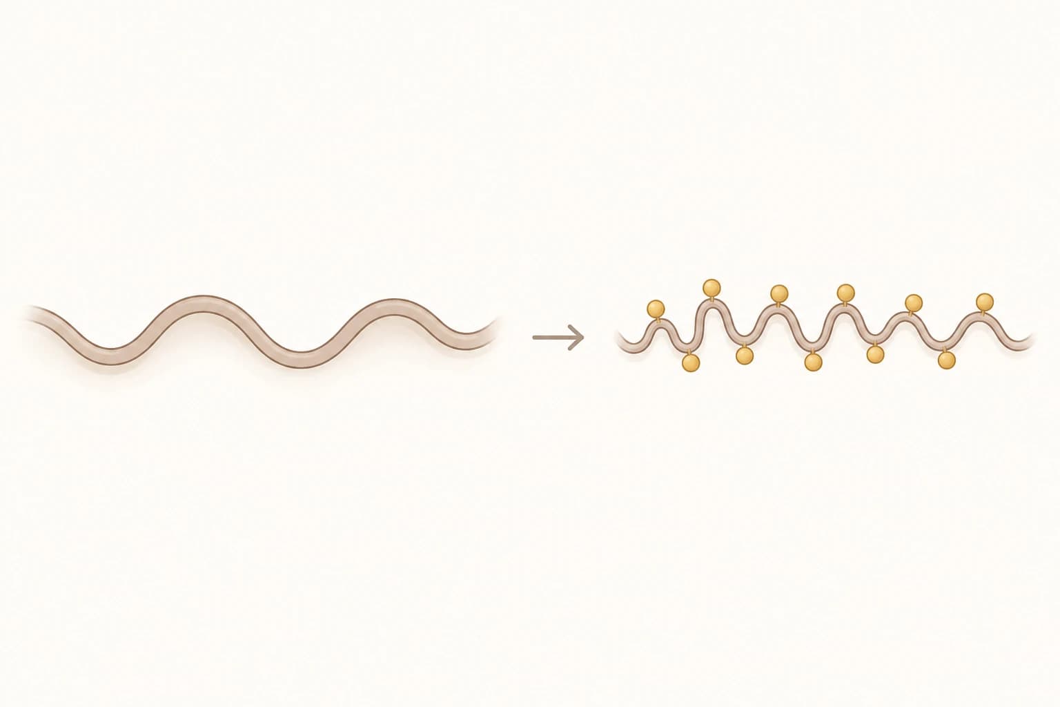 Illustration of small molecule shapes binding to a wavy tissue surface, causing it to tighten and become more compact