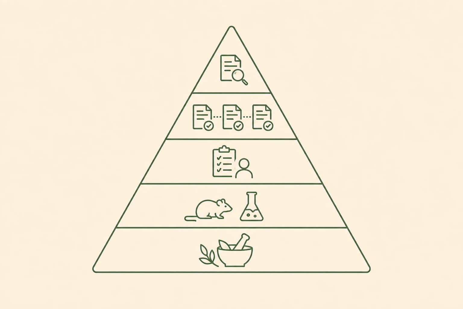 A simple pyramid illustration showing the evidence hierarchy from traditional use at the bottom to systematic reviews and meta-analyses at the top