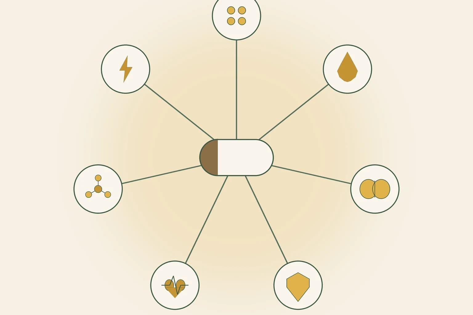 Illustration radiale d'une gélule de médicament centrale reliée à sept petites icônes représentant la pilule contraceptive, les anticoagulants, les antidépresseurs, les immunosuppresseurs, la digoxine, les traitements contre le VIH et les anticancéreux, et les antiépileptiques
