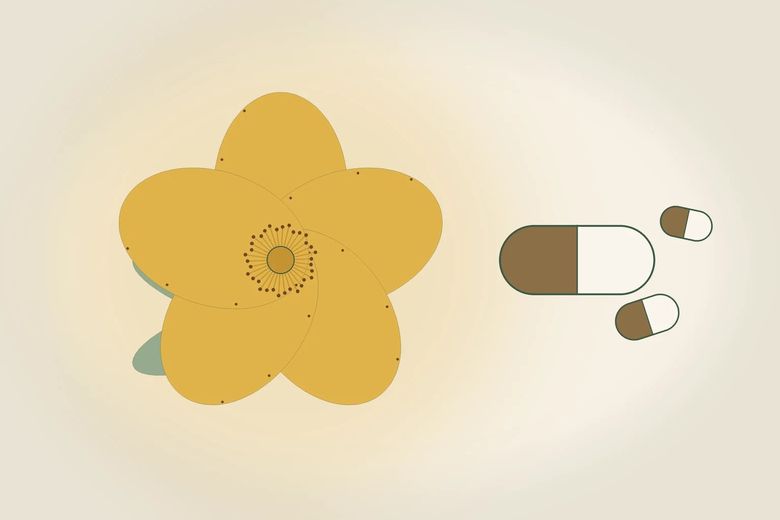 Millepertuis et interactions médicamenteuses : ce qu'il faut savoir