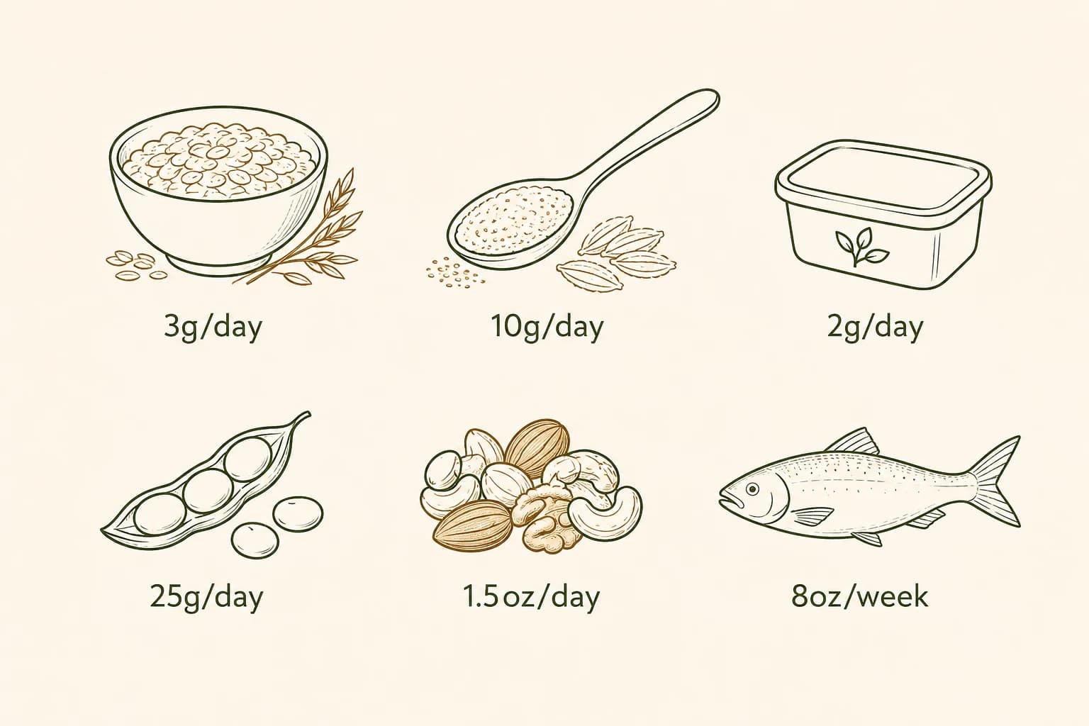 Minimal illustrated chart showing six cholesterol-lowering foods with their daily serving amounts: oats, psyllium, plant sterols, soy, nuts, and fatty fish