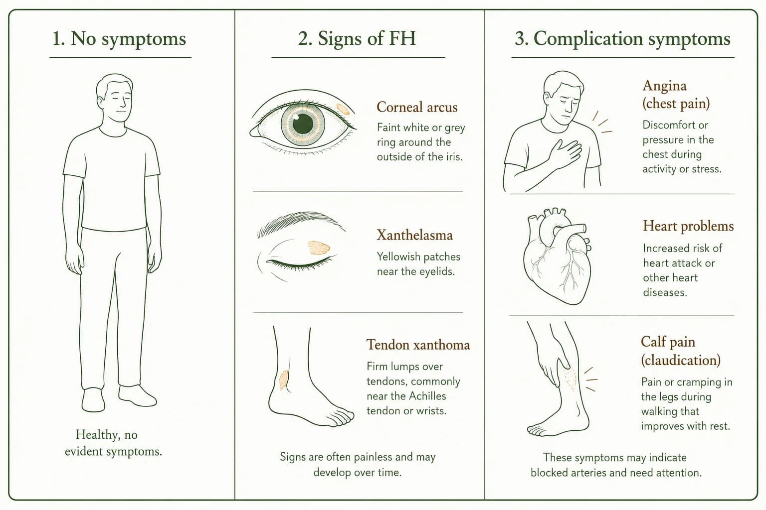 Illustrierte dreispaltige Grafik, die fehlende Cholesterinsymptome, körperliche Anzeichen der familiären Hypercholesterinämie und Symptome von Komplikationen vergleicht