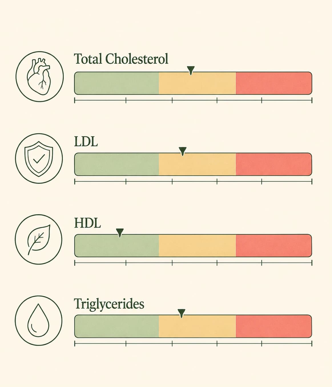 Übersichtliche Illustration mit den Bereichen für Gesamtcholesterin, LDL, HDL und Triglyceride, von wünschenswert bis sehr hoch