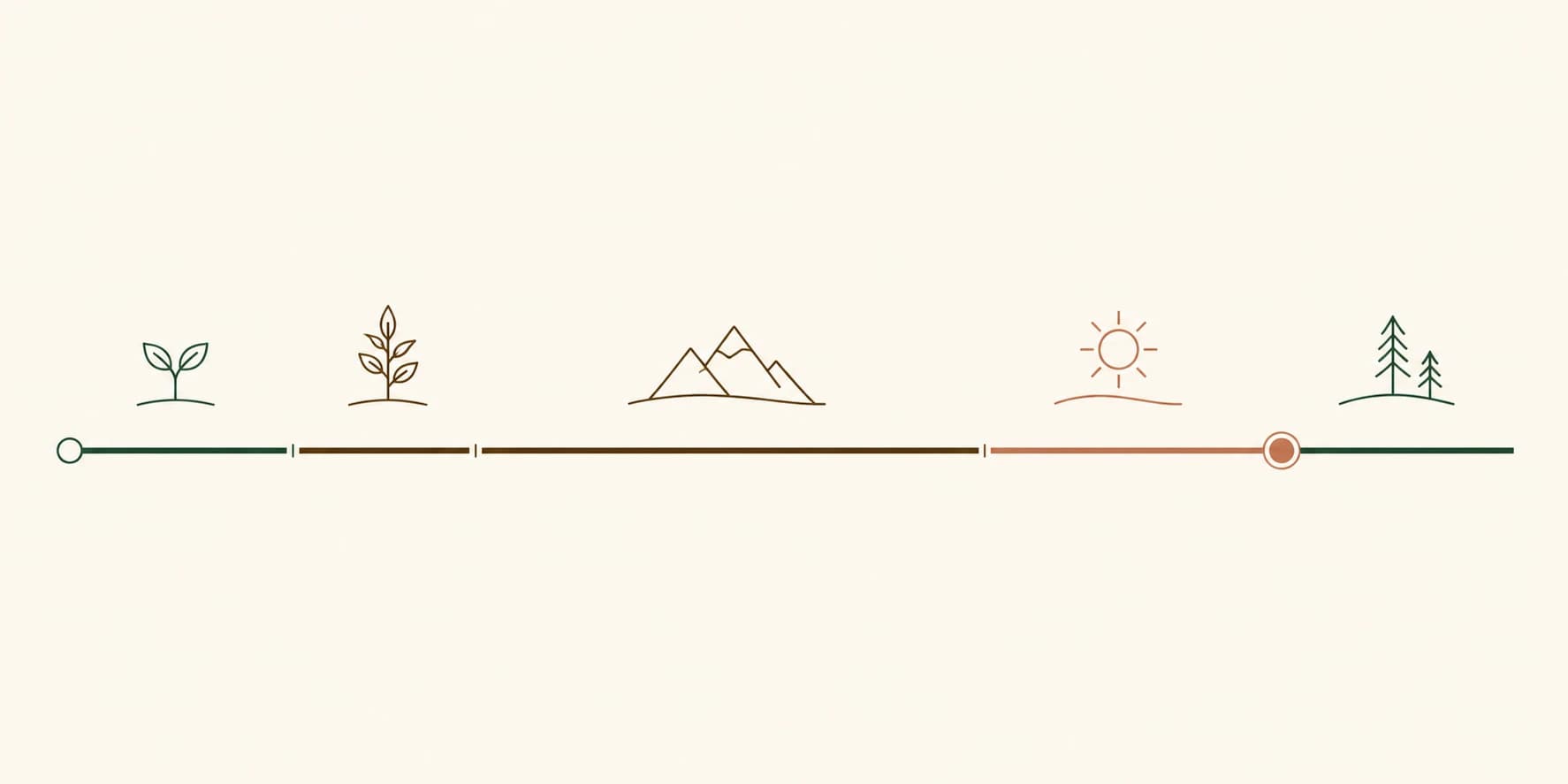A simple horizontal timeline showing the stages from late reproductive years through the menopausal transition to early postmenopause